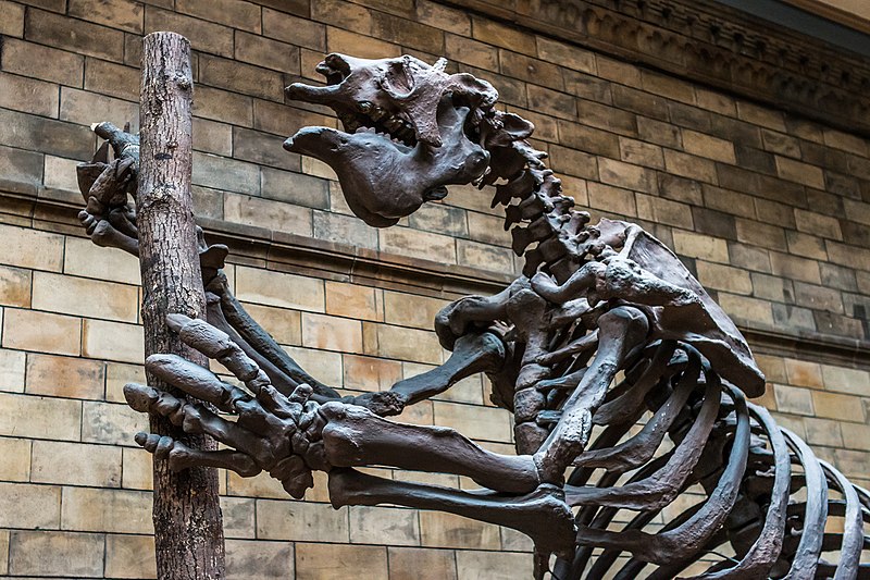 File:Giant Ground Sloth (21002994188).jpg
