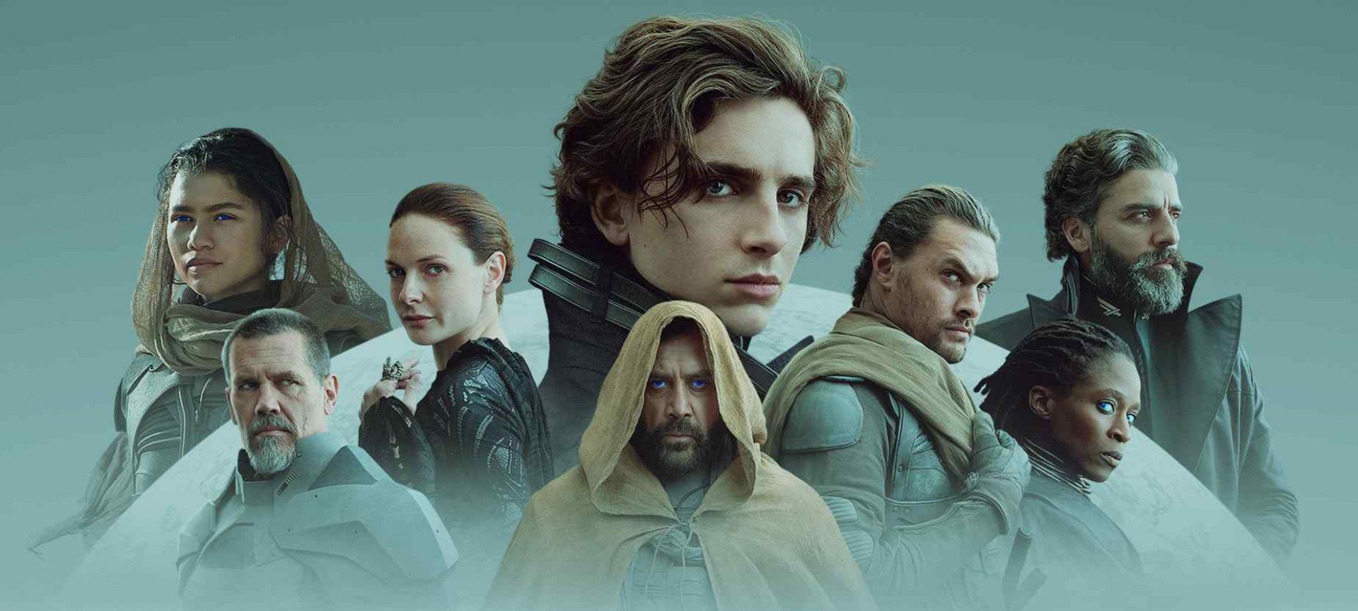 Film Information | Picturehouse Cinemas